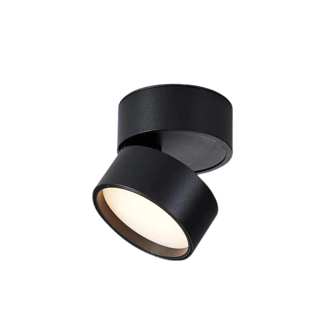 Adjustable Ceiling Light with LED Spot Head