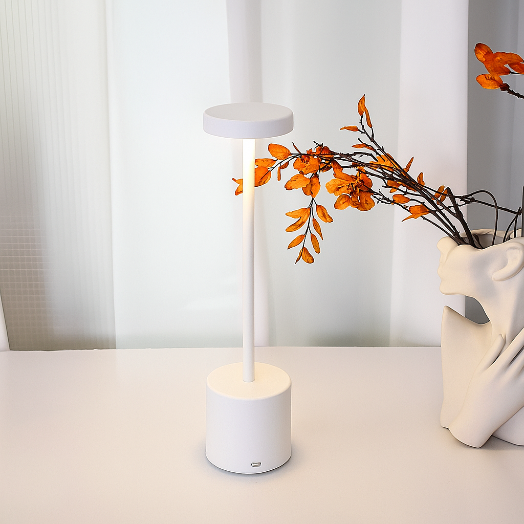 Cordless Table Lamp with Touch Dimming Design