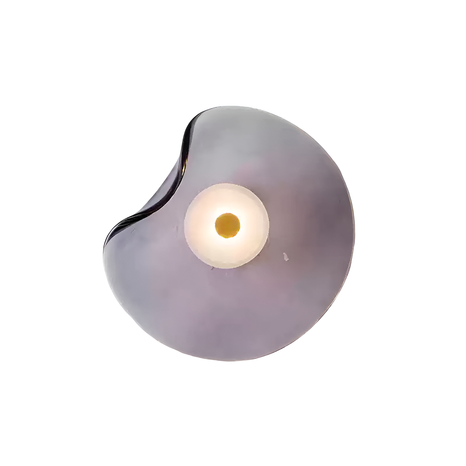 Curved Glass Wall Sconce with Fluid Form