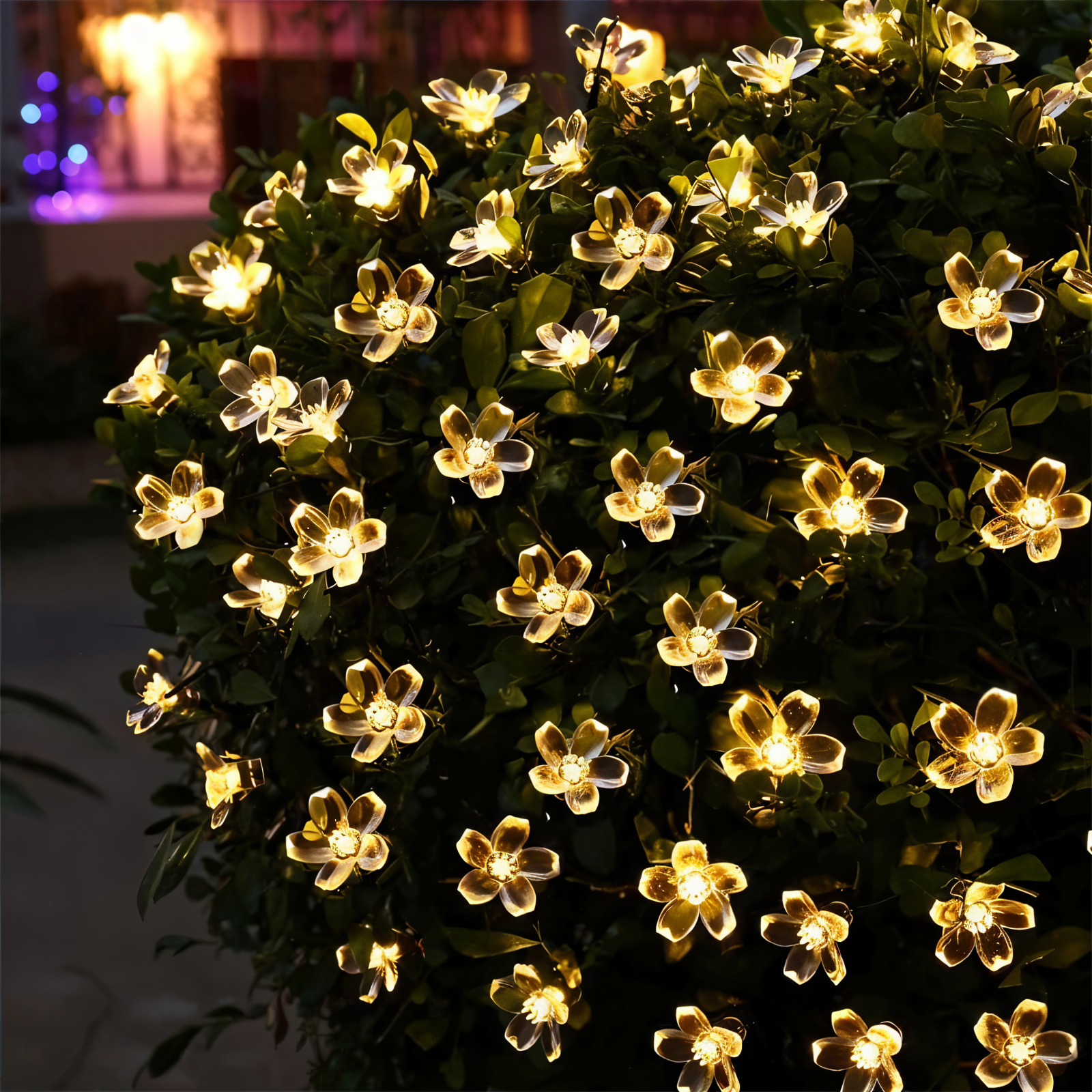 Decorative String Light with LED Hanging Glow