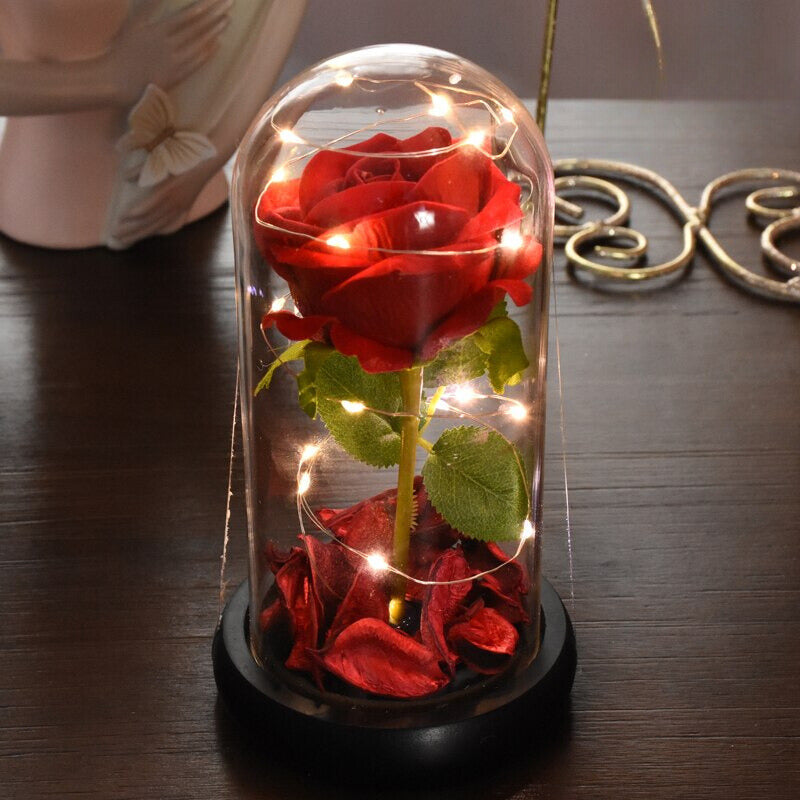Eternal Rose Display with Glass Dome Light