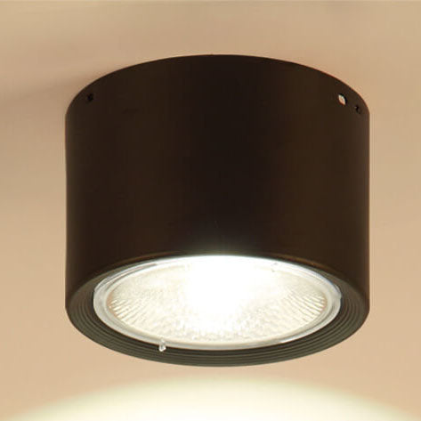 Modern Cylinder Ceiling Light with LED Flush