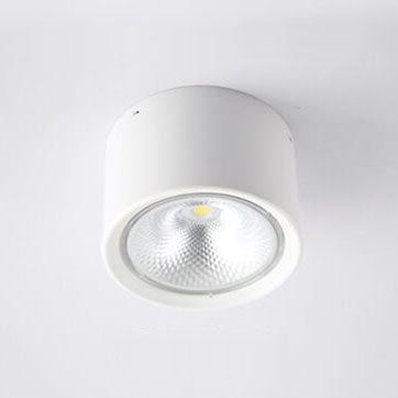 Modern Cylinder Ceiling Light with LED Flush