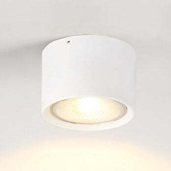 Modern Cylinder Ceiling Light with LED Flush