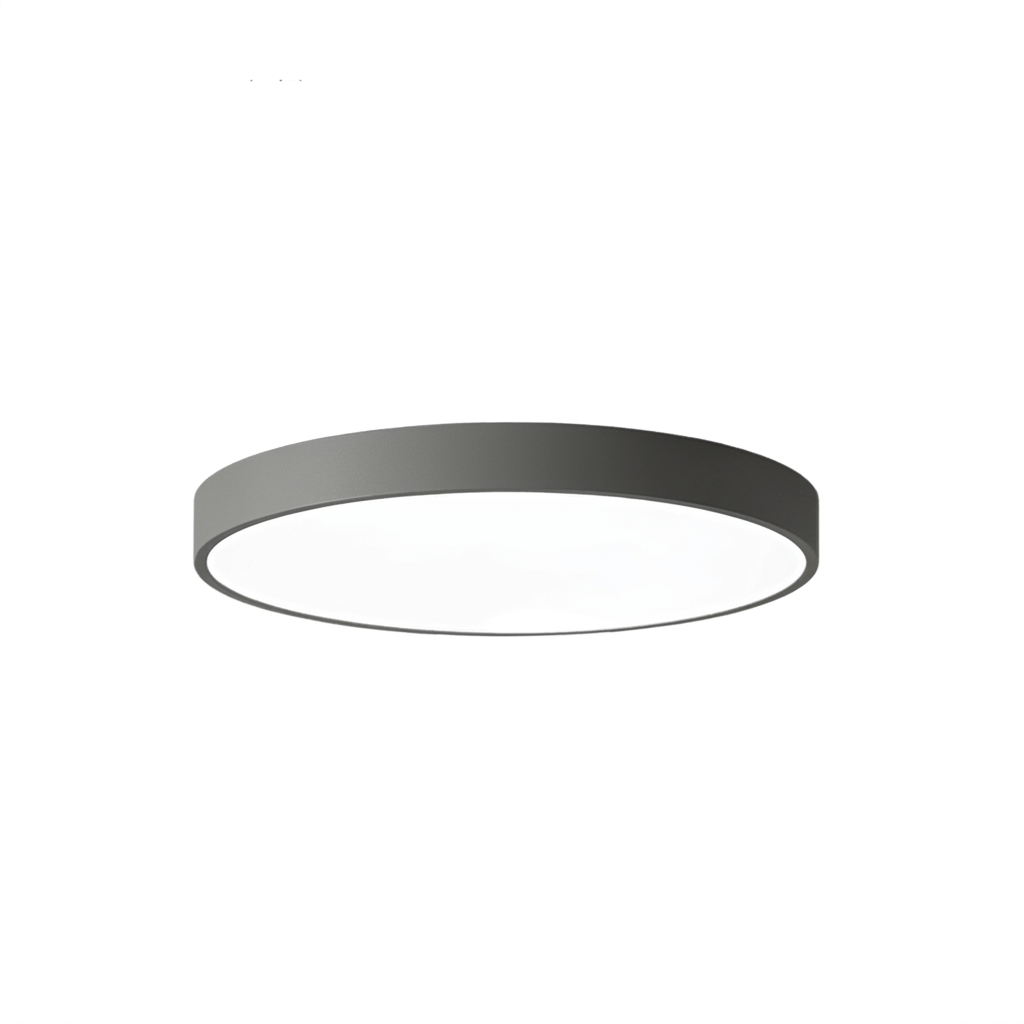 Round Aluminum Ceiling Light with Acrylic LED