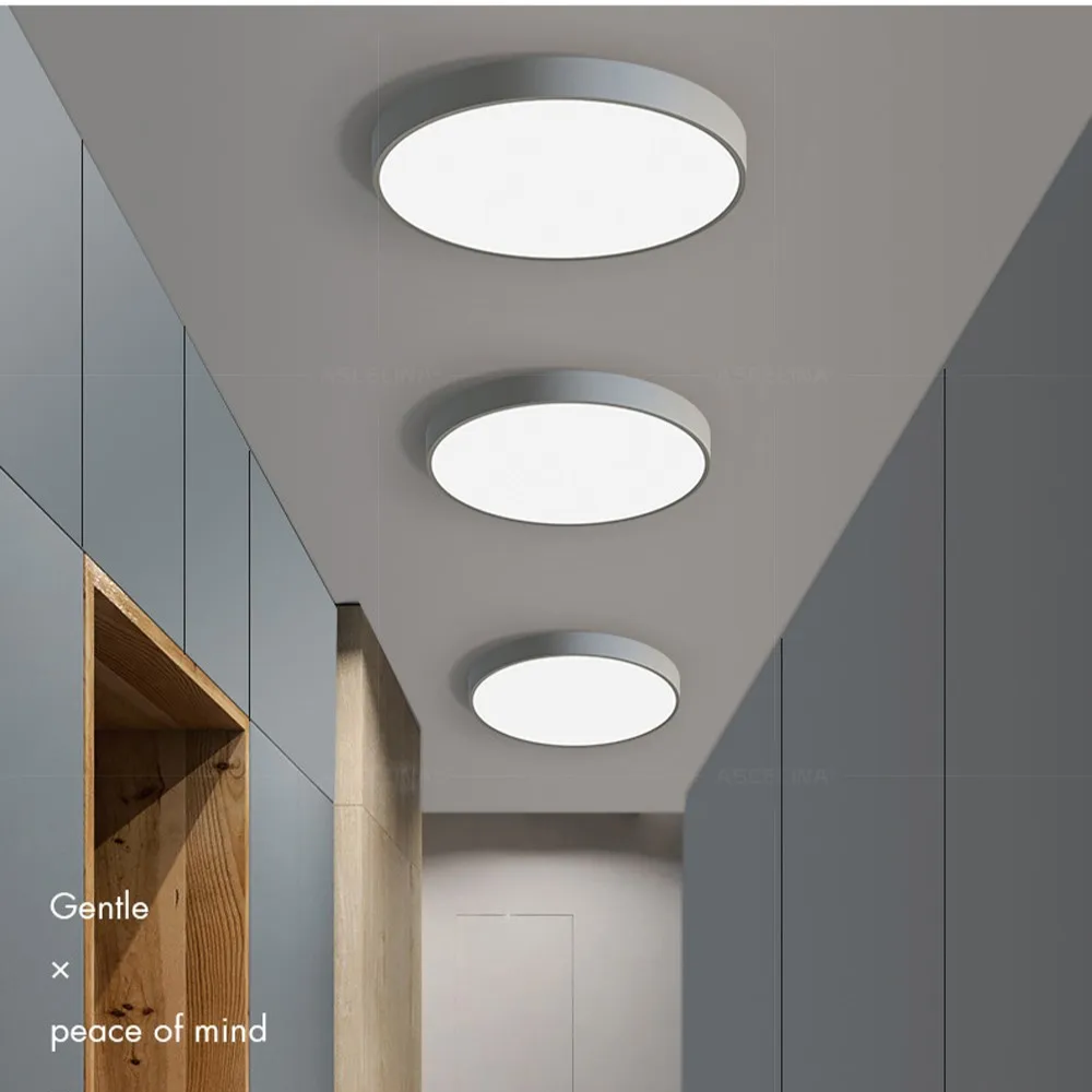 Round Aluminum Ceiling Light with Acrylic LED