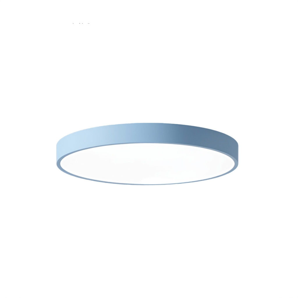 Round Aluminum Ceiling Light with Acrylic LED