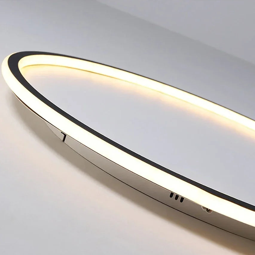Round Ceiling Light with LED Halo Ring Design