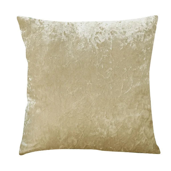 Velvet Decorative Pillow with Soft Shine