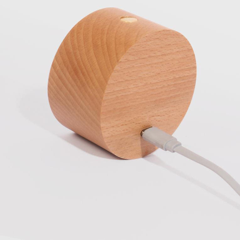 Wood Wall Sconce with LED Light Minimalist
