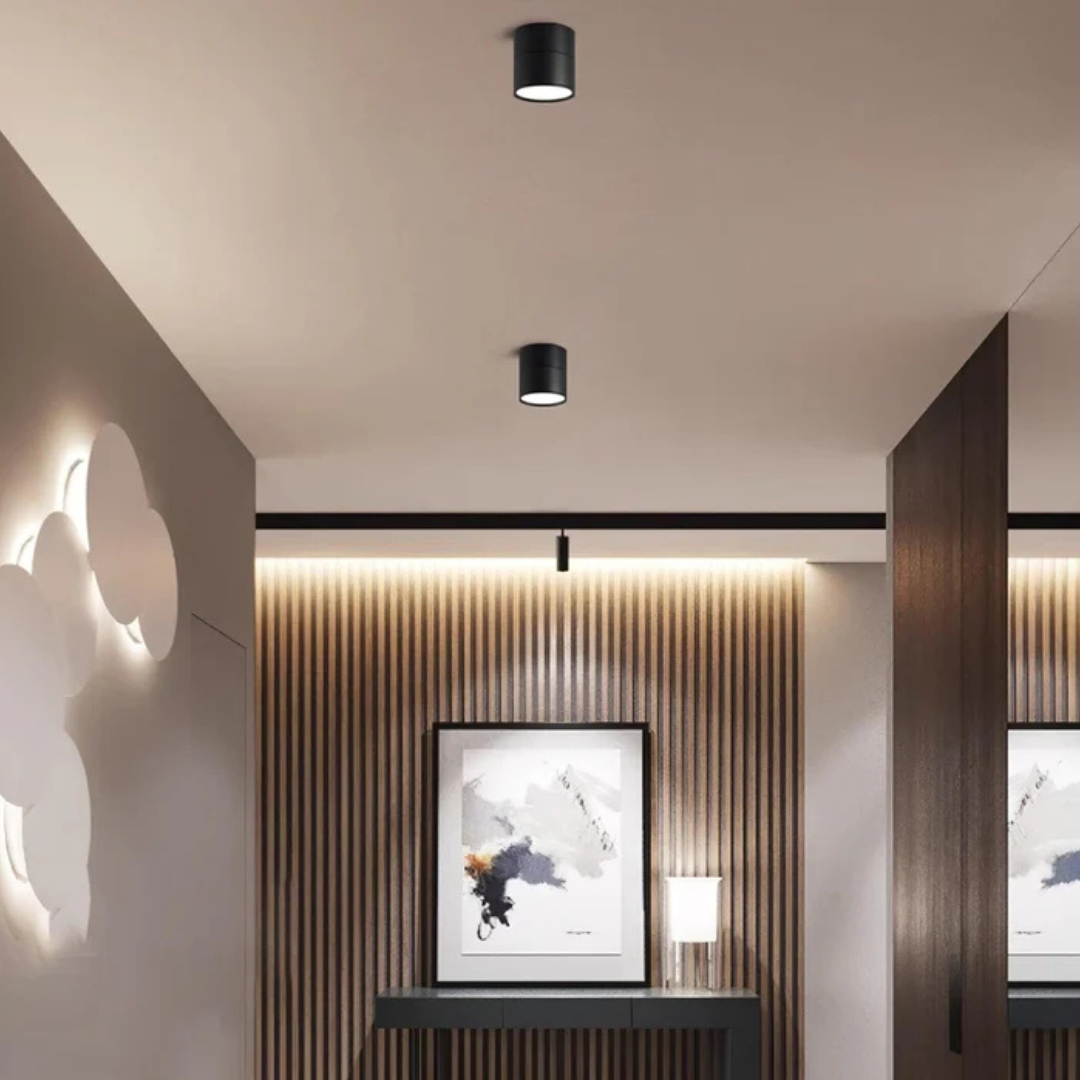 Adjustable Ceiling Light with LED Spot Head