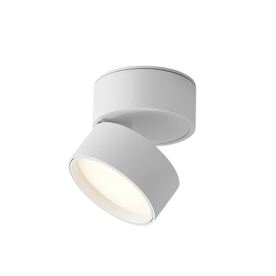 Adjustable Ceiling Light with LED Spot Head