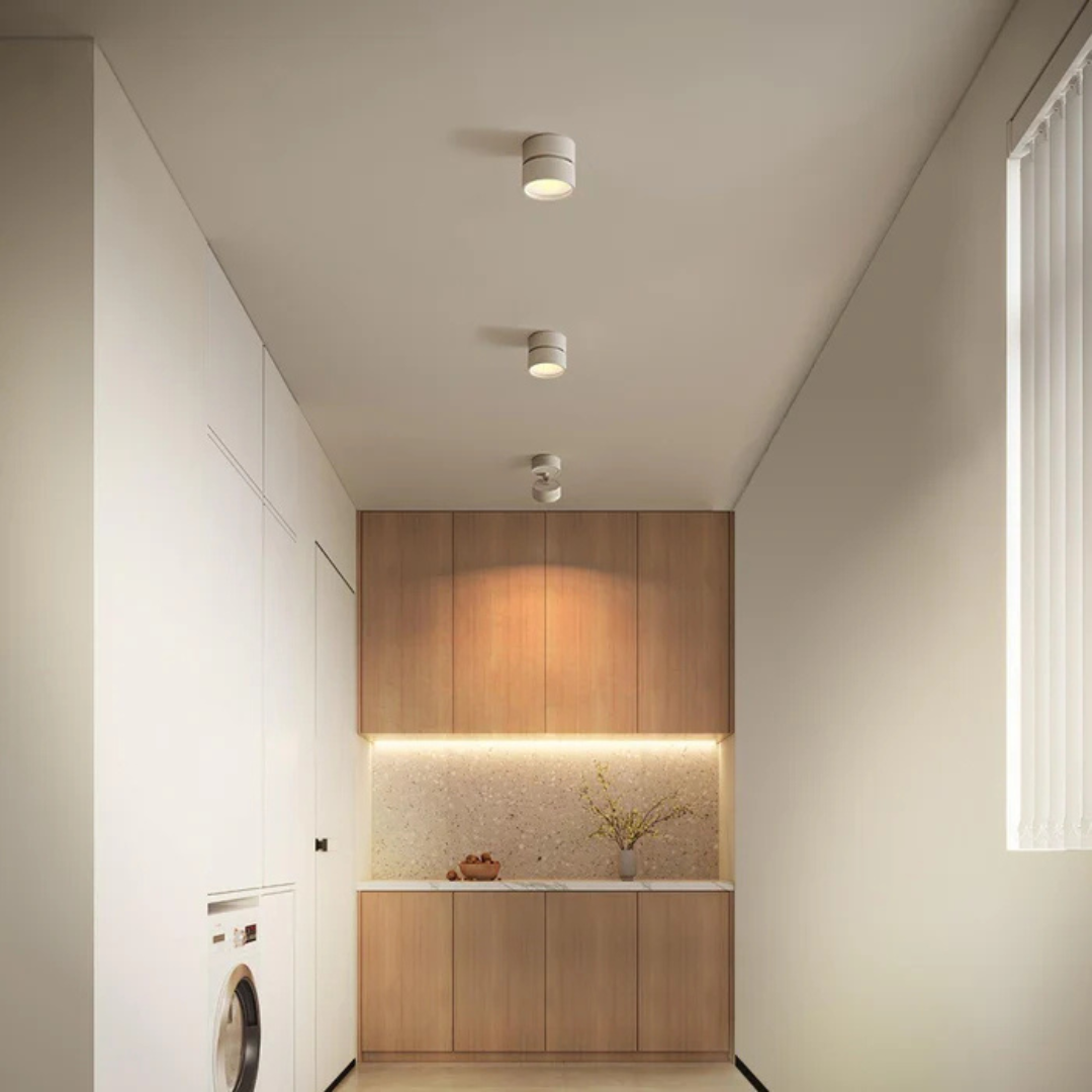 Adjustable Ceiling Light with LED Spot Head