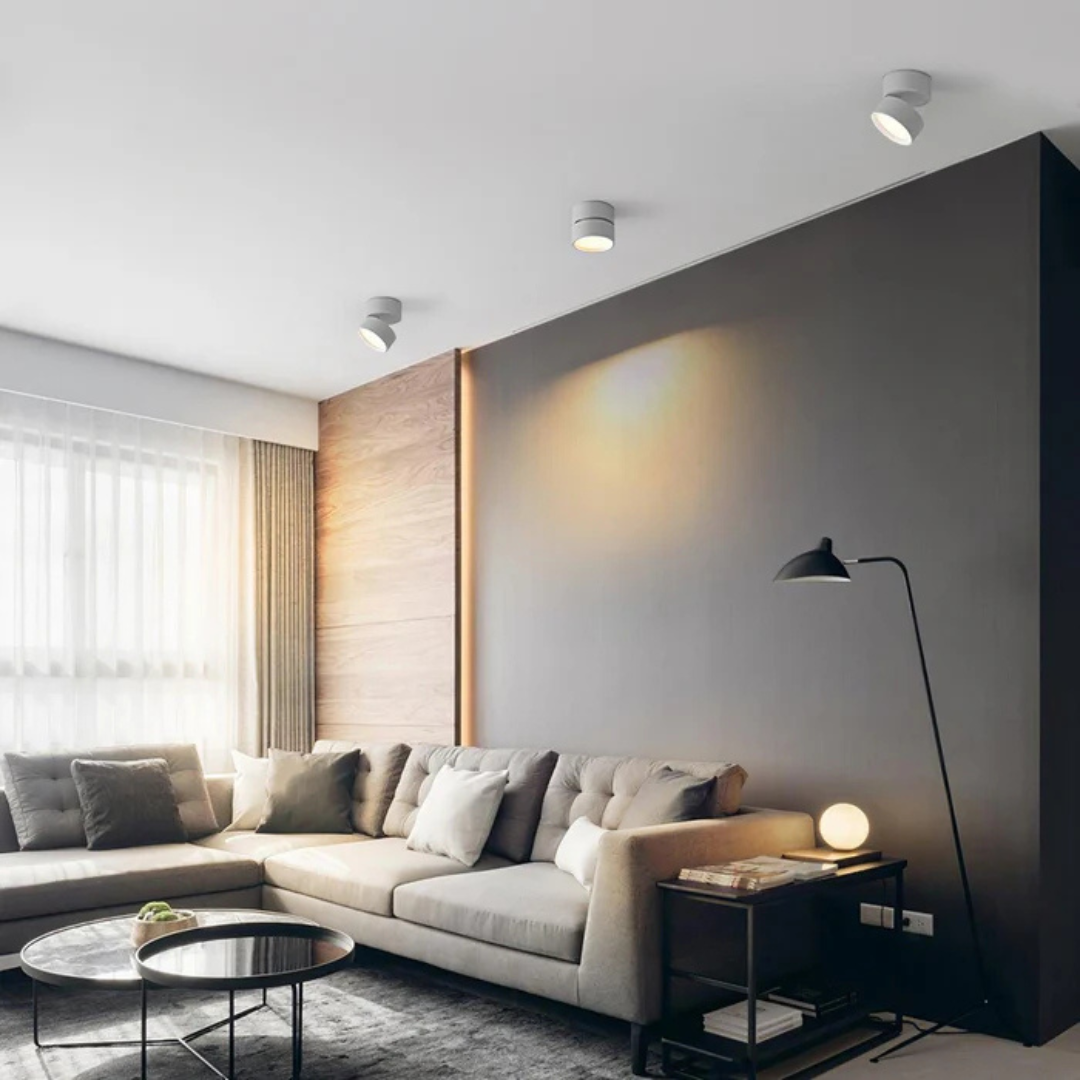Adjustable Ceiling Light with LED Spot Head