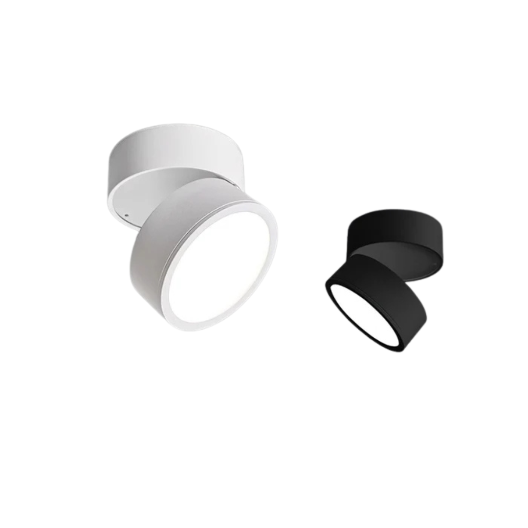 Adjustable Ceiling Light with LED Spot Head