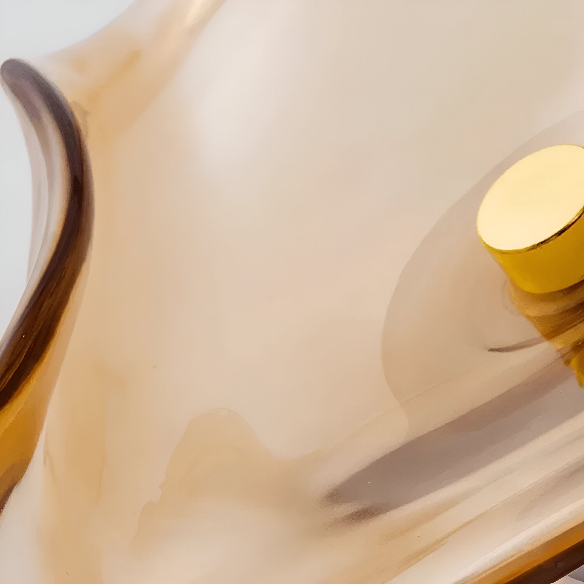Curved Glass Wall Sconce with Fluid Form