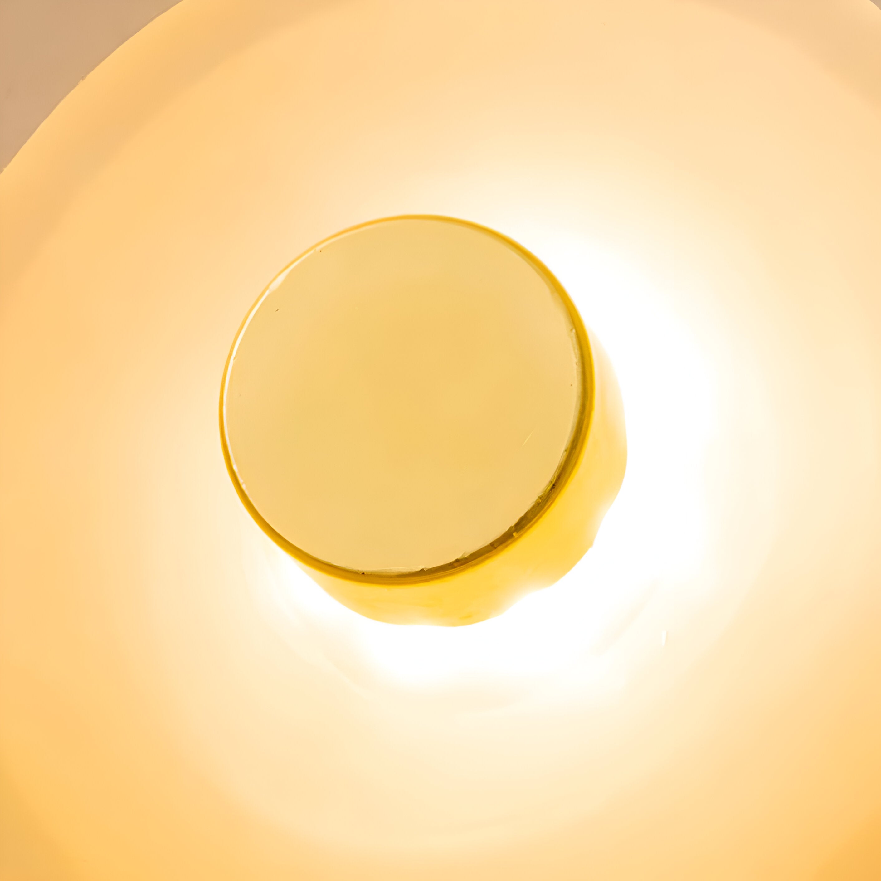 Curved Glass Wall Sconce with Fluid Form