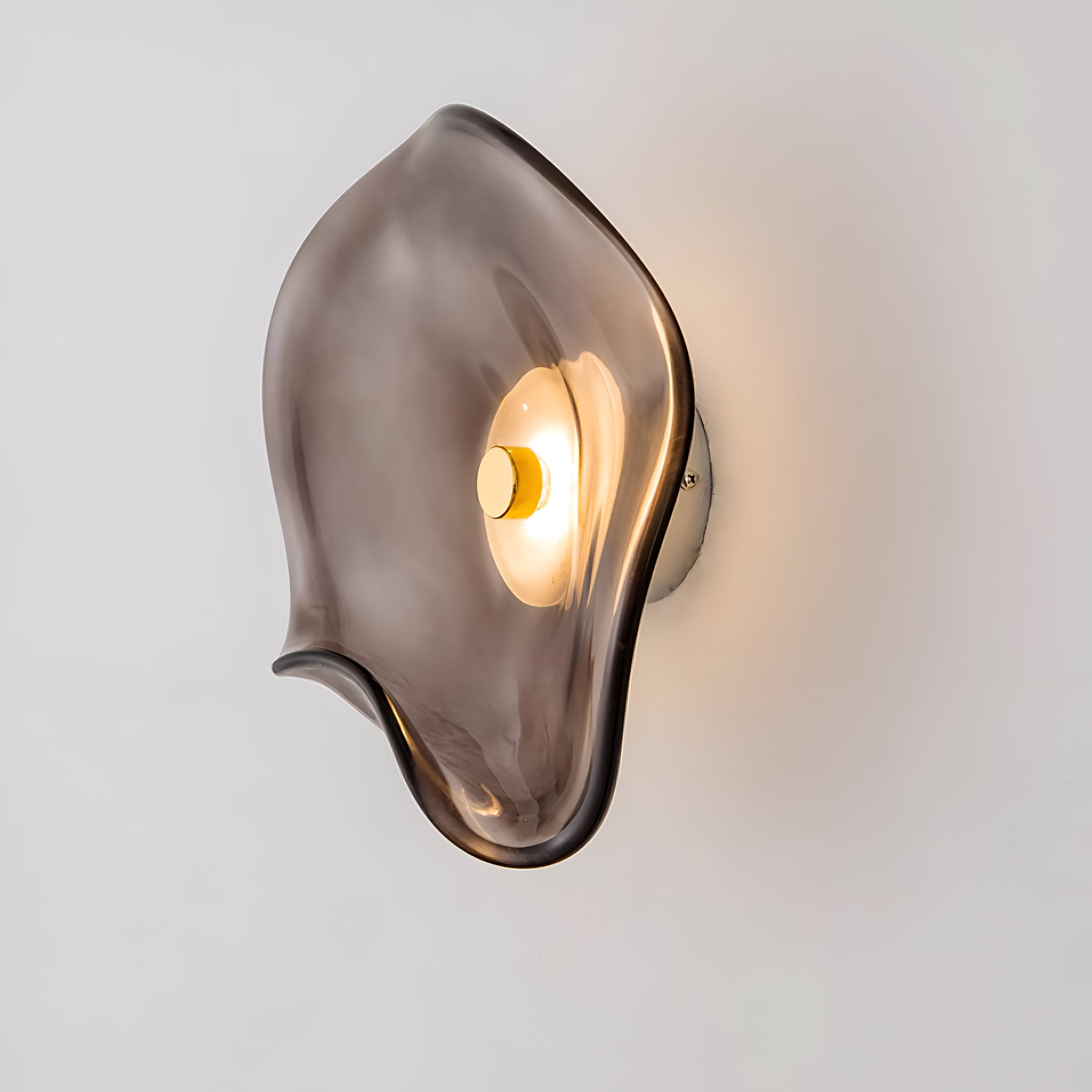 Curved Glass Wall Sconce with Fluid Form