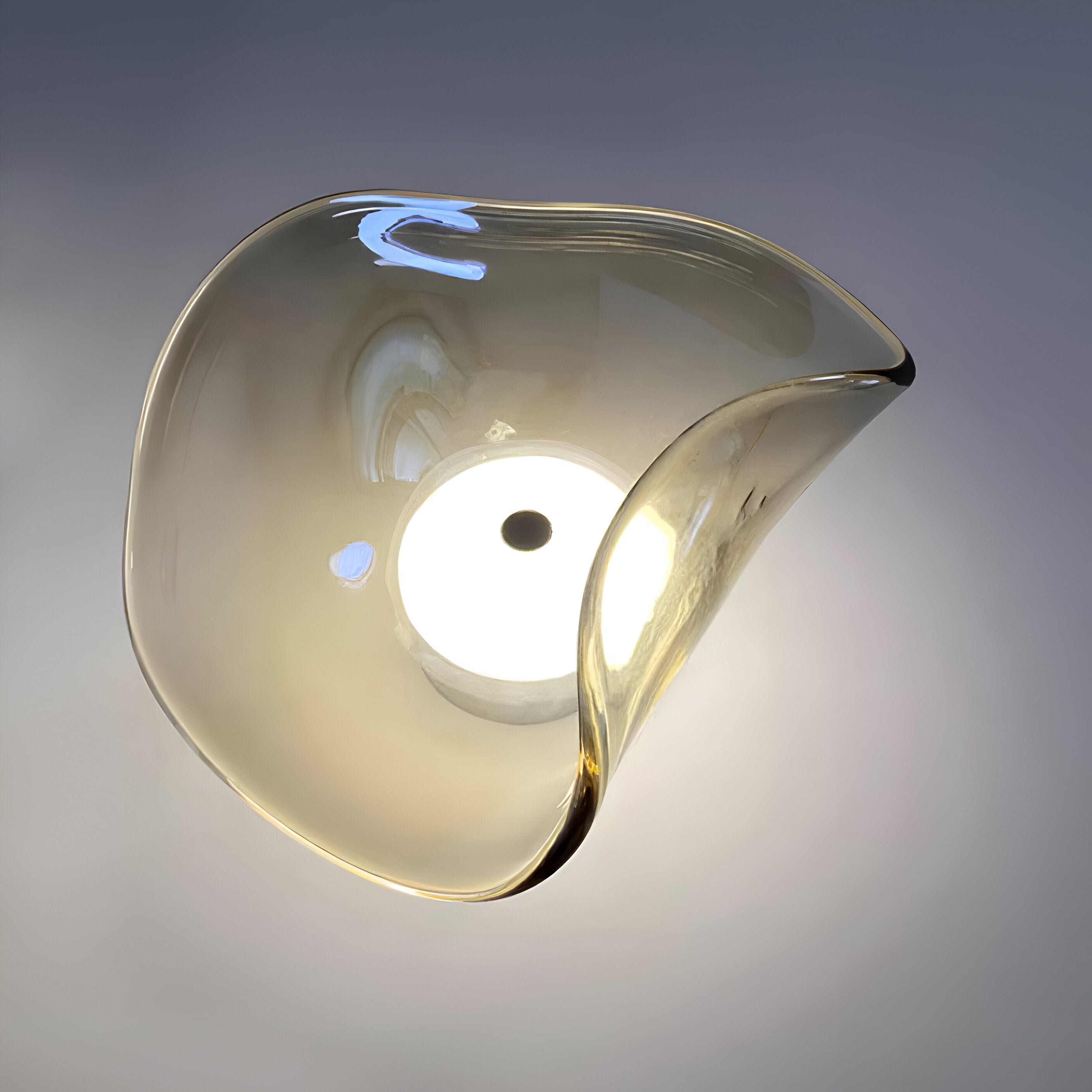 Curved Glass Wall Sconce with Fluid Form