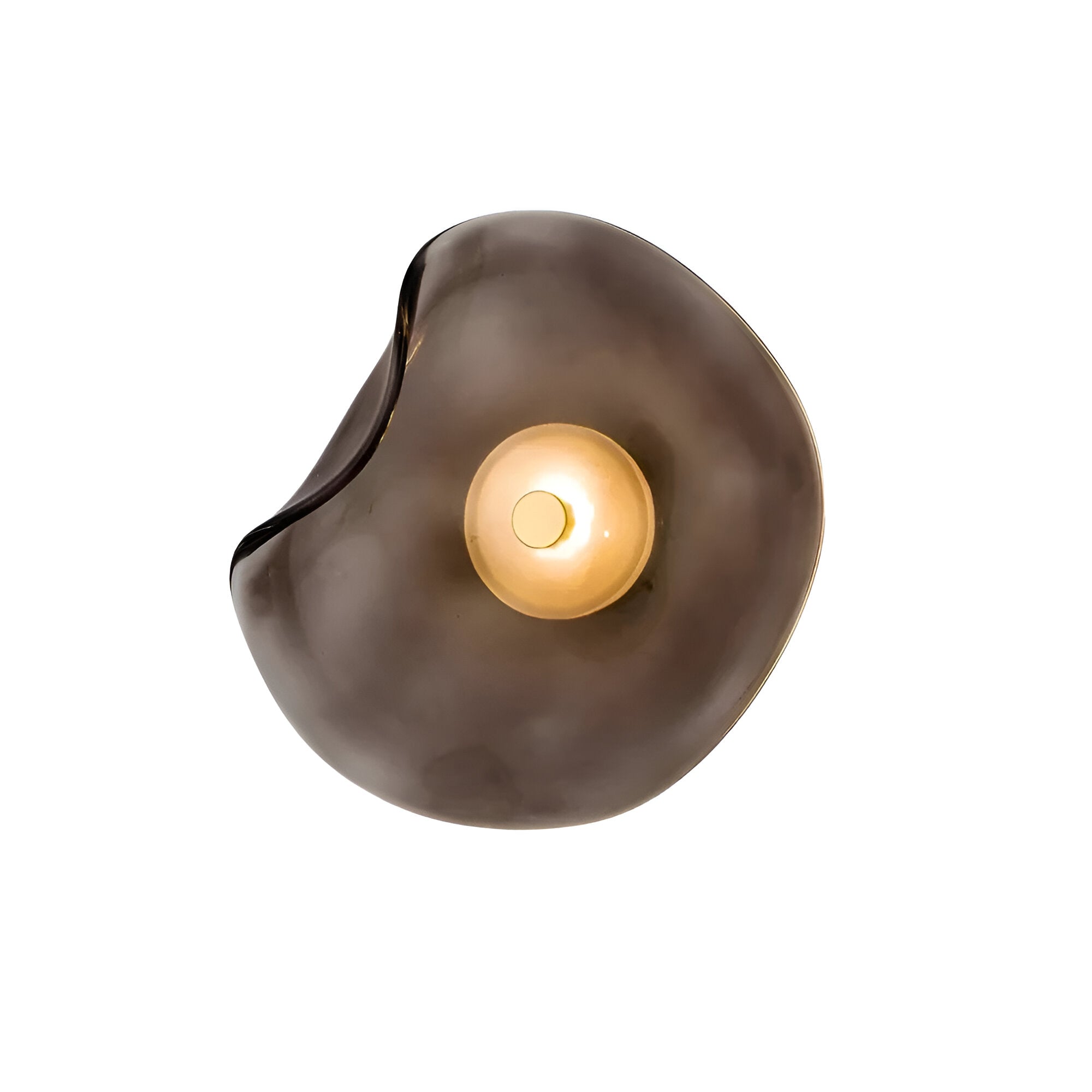 Curved Glass Wall Sconce with Fluid Form