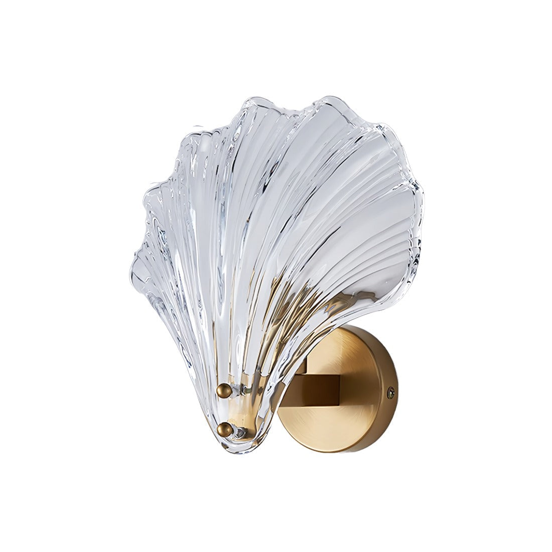 Metal Glass Wall Sconce with Seashell Shade