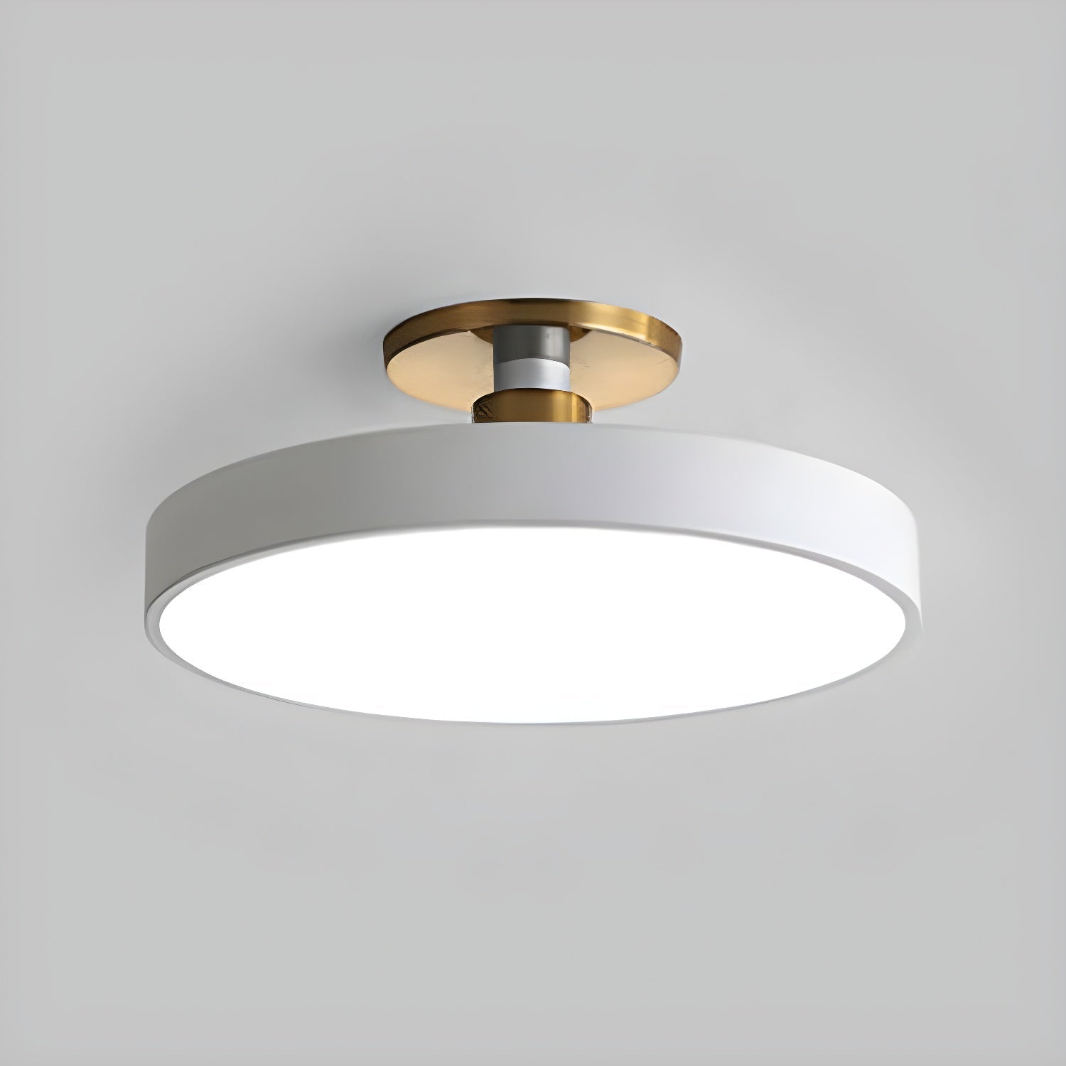 Modern Round Ceiling Light with LED Flush Mount