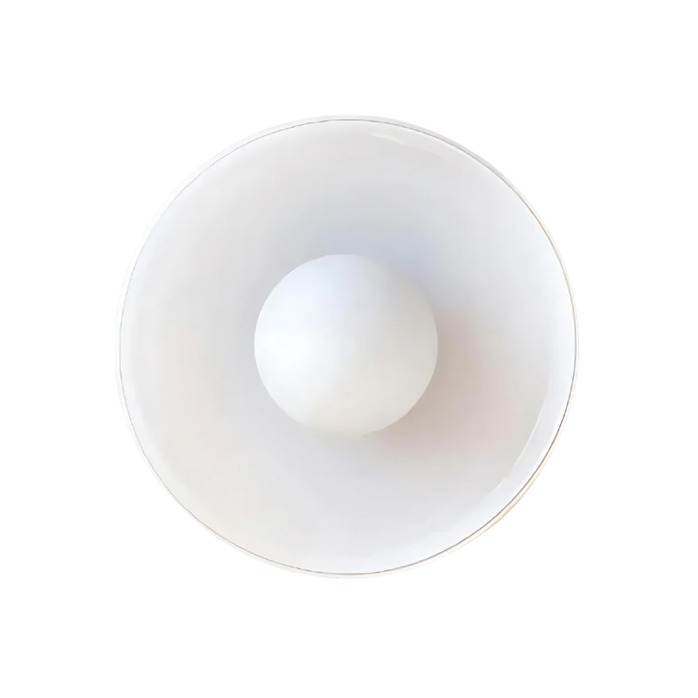 Nordic Glass Disc Wall Ceiling Light with LED