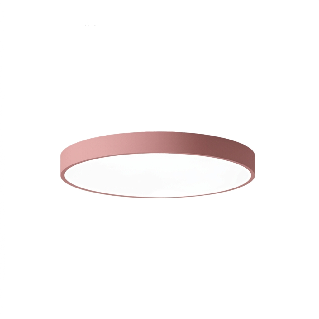 Round Aluminum Ceiling Light with Acrylic LED