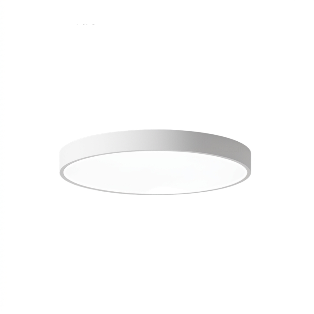 Round Aluminum Ceiling Light with Acrylic LED