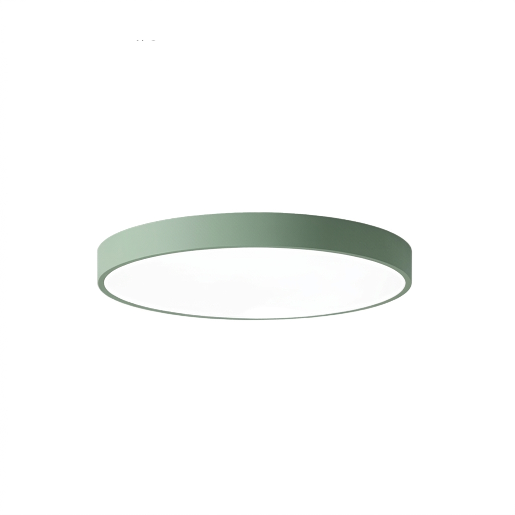 Round Aluminum Ceiling Light with Acrylic LED