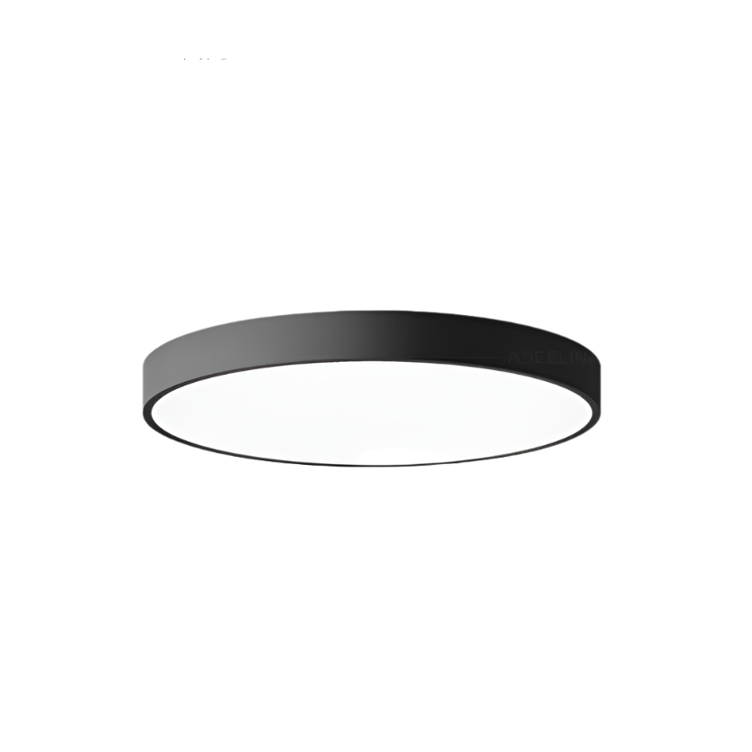 Round Aluminum Ceiling Light with Acrylic LED