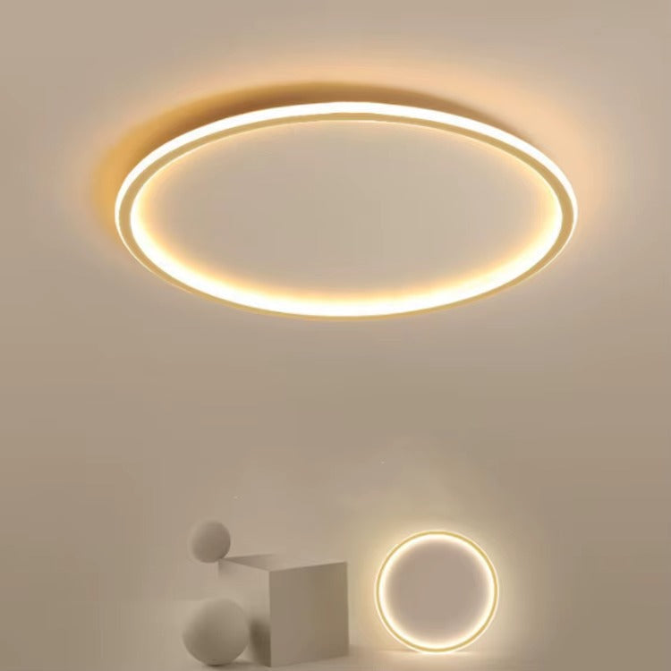 Round Ceiling Light with LED Halo Ring Design
