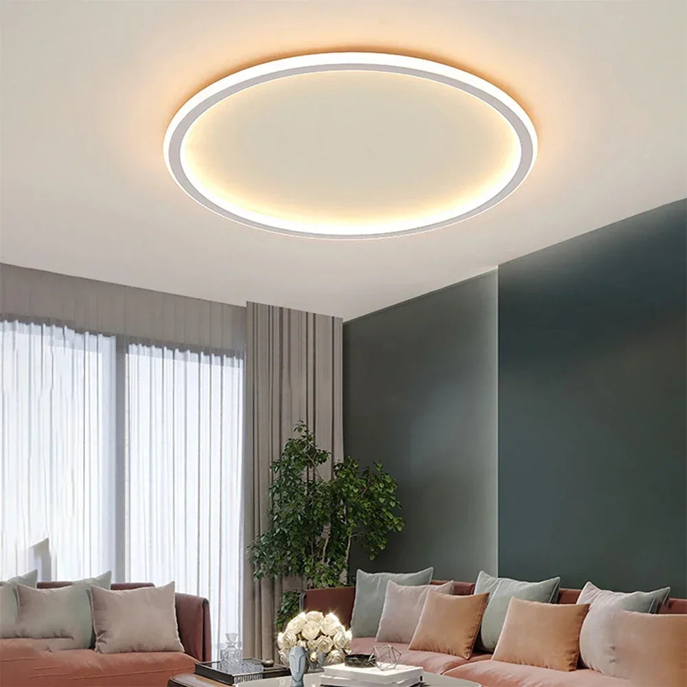 Round Ceiling Light with LED Halo Ring Design