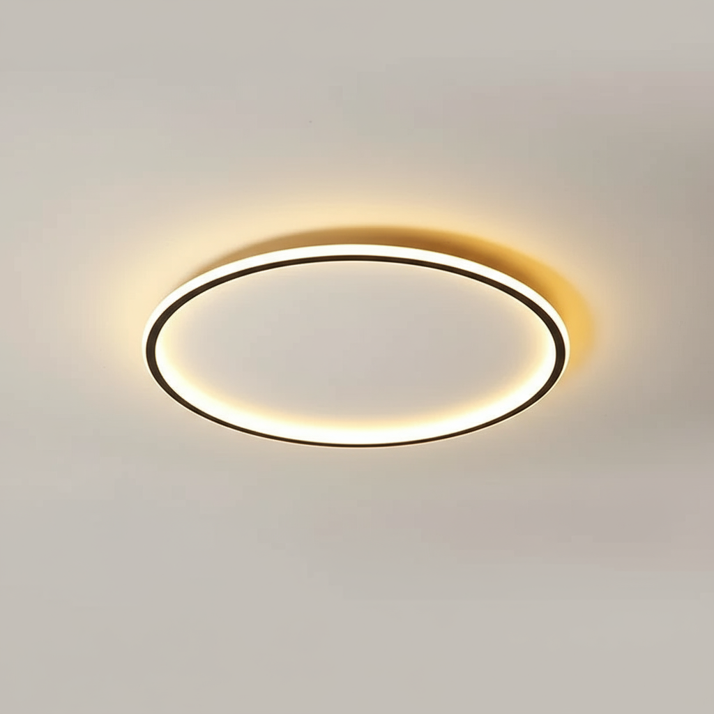 Round Ceiling Light with LED Halo Ring Design