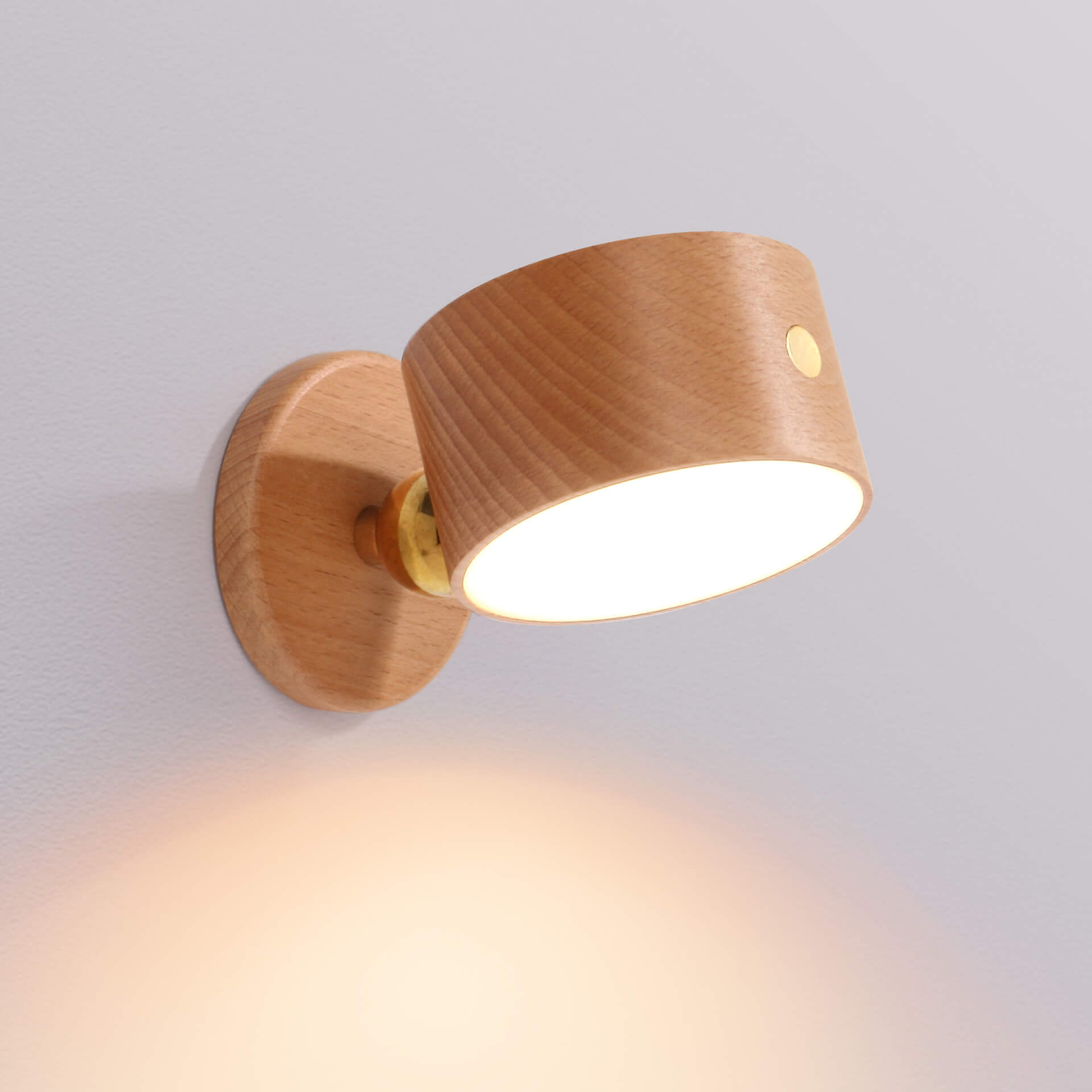 Wood Wall Sconce with LED Light Minimalist